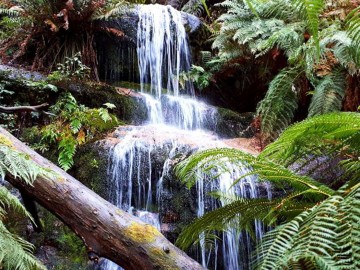 Ararat & Western Ranges Discovery Tour